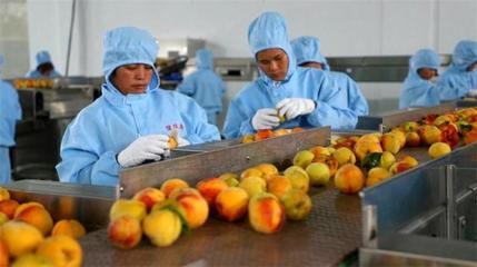 推进农产品深加工，以食品加工助力脱贫攻坚