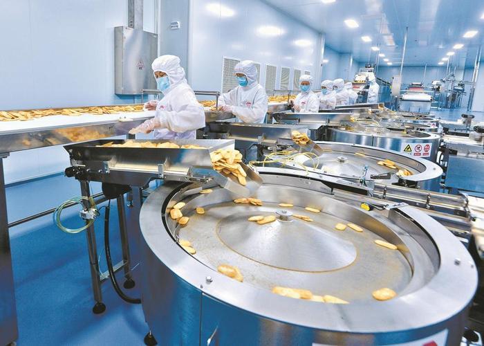 食品加工厂分拣效率提升攻略 从成本中心到价值引擎